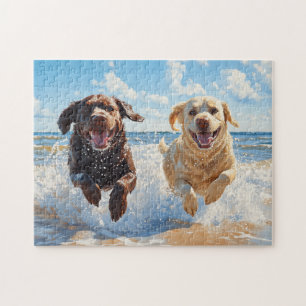 Zwei Labrador Retriever am Strand