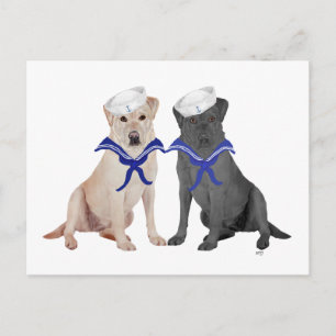 Zwei Labrador Retriever Postkarte