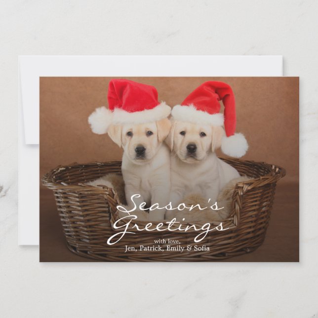 Zwei Labrador-Weihnachtswelpen Feiertagskarte (Vorderseite)