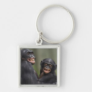 Zwei lächelnde Bonobos Schlüsselanhänger