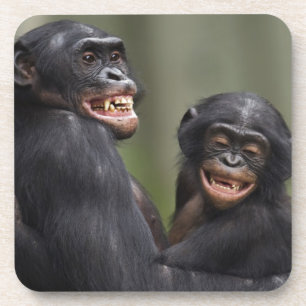 Zwei lächelnde Bonobos Untersetzer