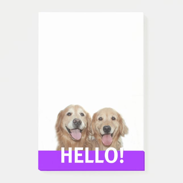 Zwei lächelnde Golden Retriever Hunde Hallo Post-it Klebezettel (Vorderseite)