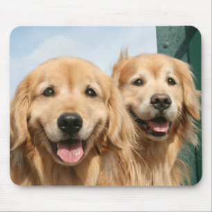 Zwei lächelnde goldene Retriever Mousepad