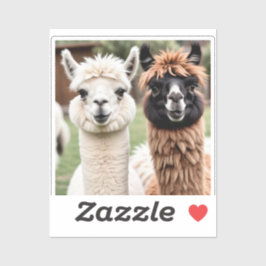 Zwei Lamas Aufkleber