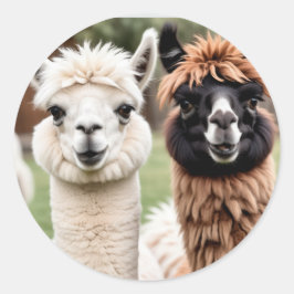 Zwei Lamas Runder Aufkleber