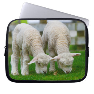 Zwei Lämmer Weiden Laptopschutzhülle