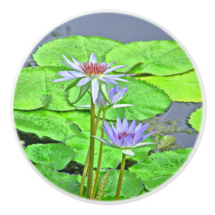 ZWEI LAVENDER LOTUS BLOSSOME &GREEN LILY PADS KERAMIKKNAUF