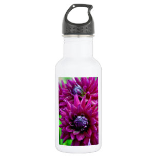 Zwei lila Dahlien-Blume in Blüte Trinkflasche