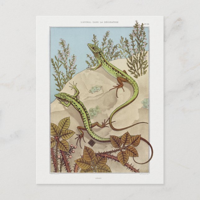 Zwei Lizards Vintage Fauna Illustration Postkarte (Vorderseite)