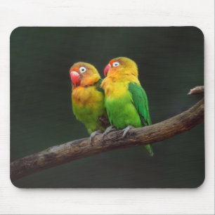 Zwei Lovebirds auf einer Zweigniederlassung Mousepad