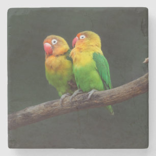 Zwei Lovebirds auf einer Zweigniederlassung Steinuntersetzer