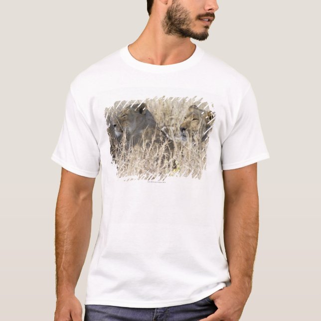 Zwei Löwen versteckt im trockenen Gras, Kruger T-Shirt (Vorderseite)