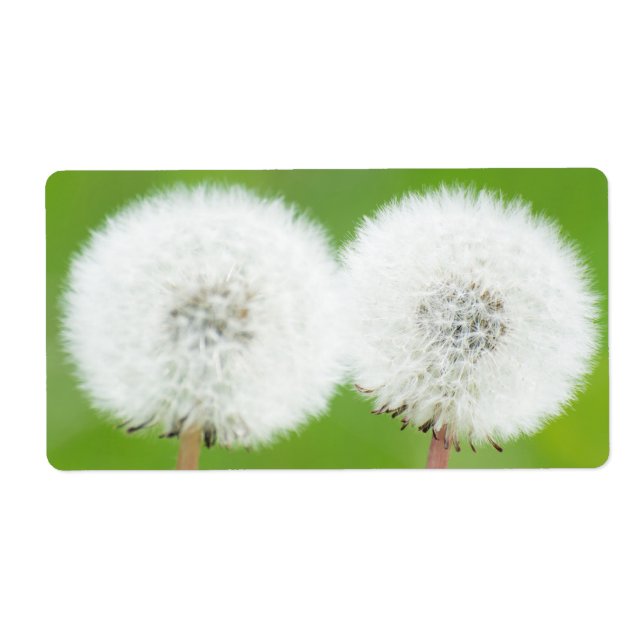 Zwei Lüster (Vorne)