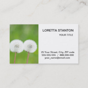Zwei Lüster Visitenkarte