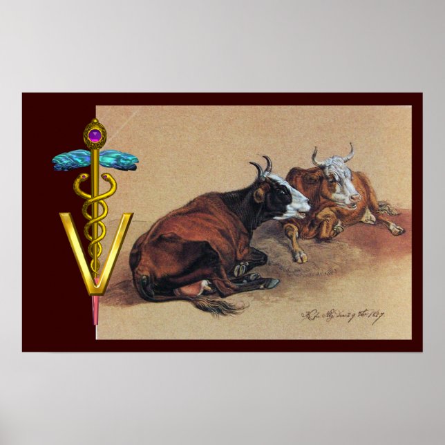 ZWEI LYKÜHE GOLD CADUCEUS VETERINÄRSYMBOL POSTER (Vorne)