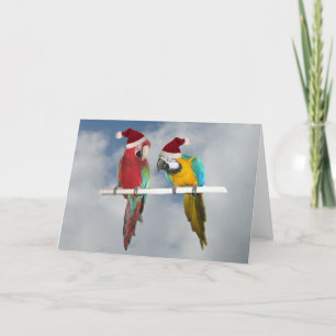 Zwei Macaw Santas Feiertagskarte