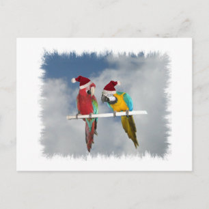Zwei Macaw Santas Feiertagspostkarte