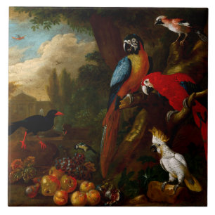 Zwei Macaws ein Cockatoo und eine Jay mit Obst Fliese