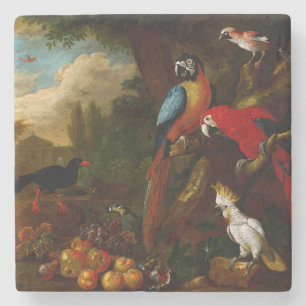 Zwei Macaws ein Cockatoo und eine Jay mit Obst Steinuntersetzer