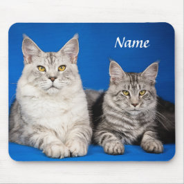 Zwei Maine Coon Cats Blue Mousepad