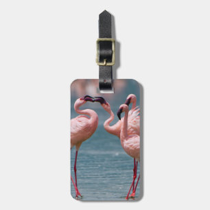 Zwei männliche Zwergflamingos (Phoenicopterus Mino Gepäckanhänger
