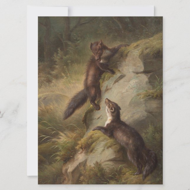 Zwei Martens in Woodland (Tierart) Karte (Vorderseite)