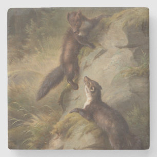Zwei Martens kämpfen spielerisch im Wald Steinuntersetzer
