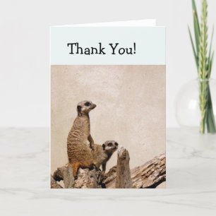 Zwei Meerkats Dankeschön Karte