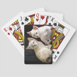Zwei Mekong Bobtail Tabby Point Kittens Spielkarten