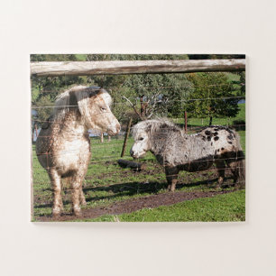 Zwei Mini-Ponys in einem Dock
