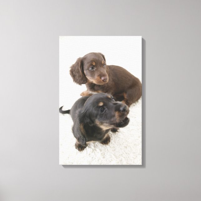 Zwei Miniaturbilder, Studio Shot Leinwanddruck (Vorderseite)