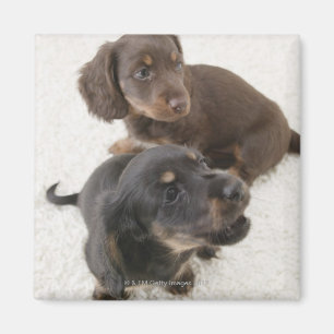Zwei Miniaturbilder, Studio Shot Magnet