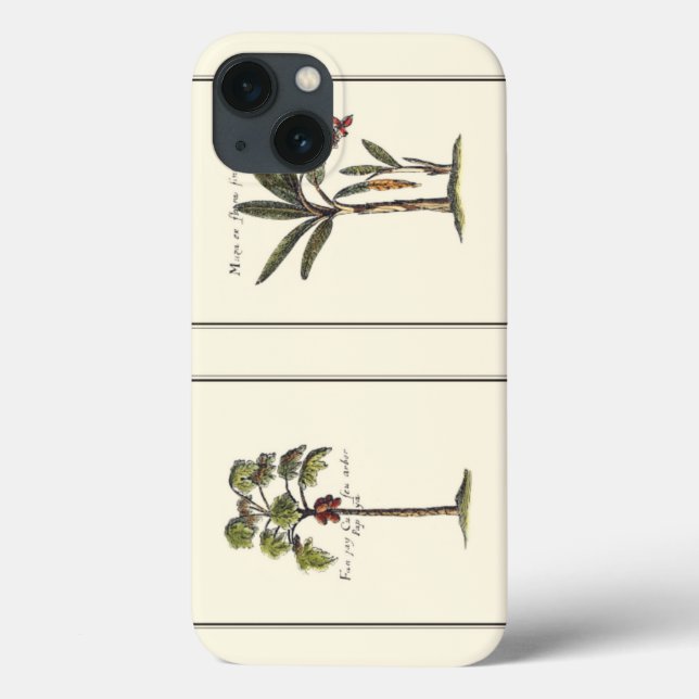 Zwei Miniaturpalmen Gerahmt Case-Mate iPhone Hülle (Rückseite)