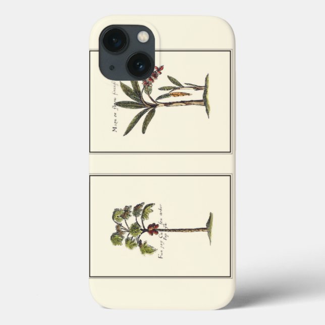 Zwei Miniaturpalmen Gerahmt Case-Mate iPhone Hülle (Rückseite)