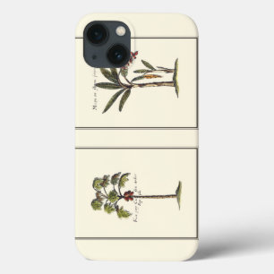 Zwei Miniaturpalmen Gerahmt title_seo2