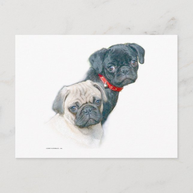 Zwei Möpsen Postkarte (Vorderseite)