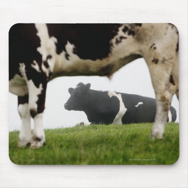 zwei mousepad (Vorne)