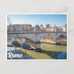 Zwei Möwen gegen Rom, Italien Postkarte