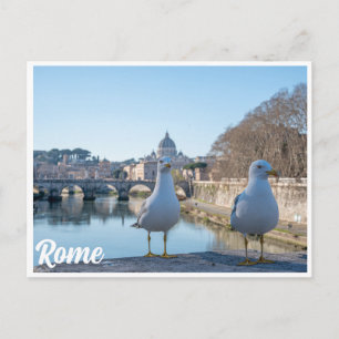 Zwei Möwen vor dem atemberaubenden Hintergrund Rom Postkarte