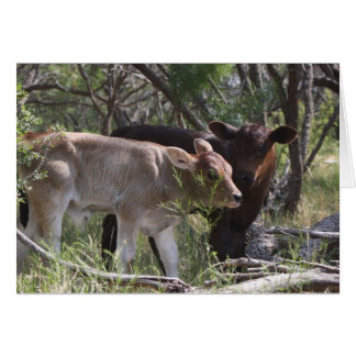 Zwei neue Babys auf dem Bauernhof