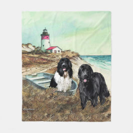 Zwei Newfs und Fleece auf dem Schiff