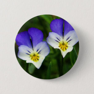 Zwei niedliche Blauvioletten Button