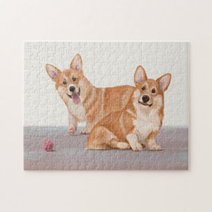 Zwei Niedliche Corgis
