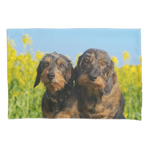 Zwei Niedliche Dackel Hunde Dackel Foto Kissenbede Kissenbezug