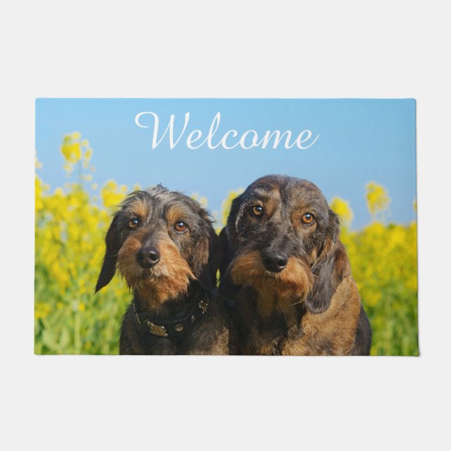 Zwei Niedliche Dackeln Hunde Dackel Friends - Will Fußmatte (Vorderseite)