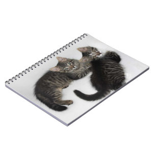 Zwei Niedliche Kitts Notebook Notizblock