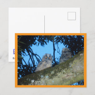 Zwei Niedliche Langweiler im Baum DIY Postkarte