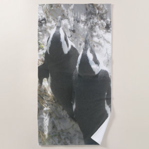 Zwei Niedliche Pinguine Beach Handtuch