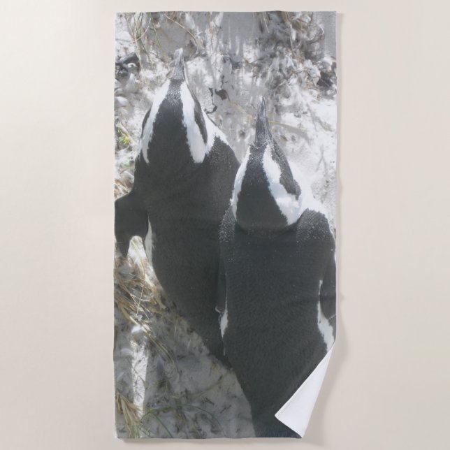 Zwei Niedliche Pinguine Beach Handtuch (Vorderseite)