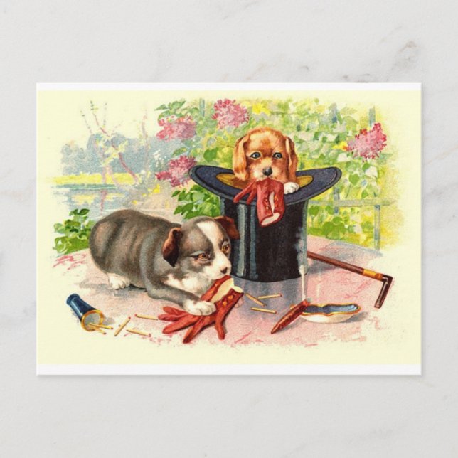 Zwei Niedliche Welpen Vintag Postkarte (Vorderseite)